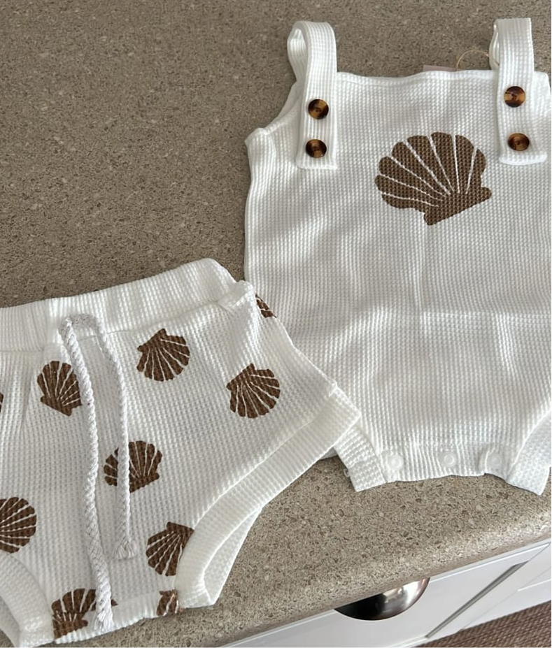 Seashell Set