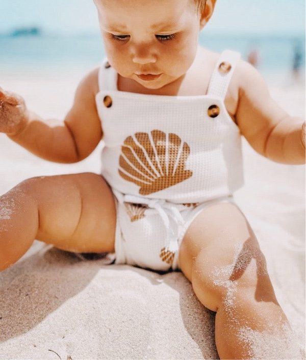 Seashell Set
