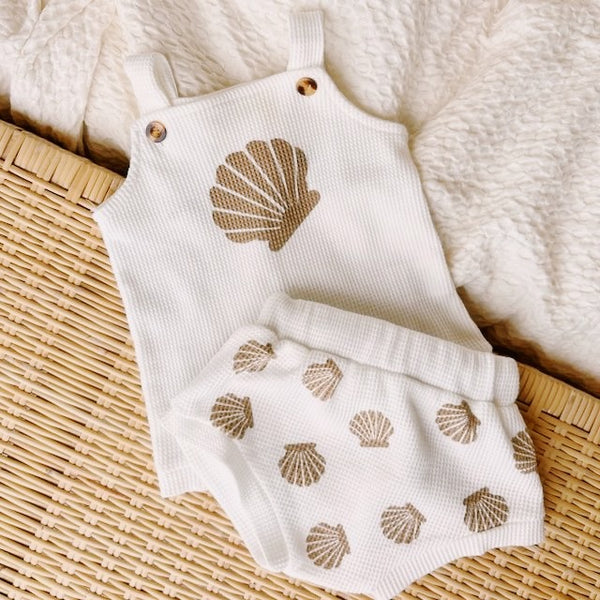 Seashell Set