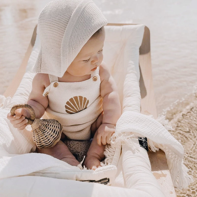 Seashell Set