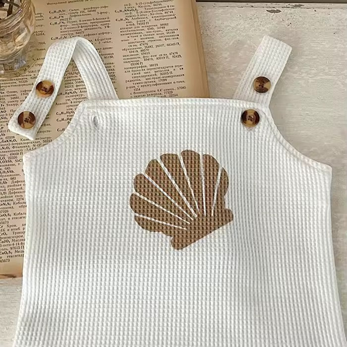 Seashell Set