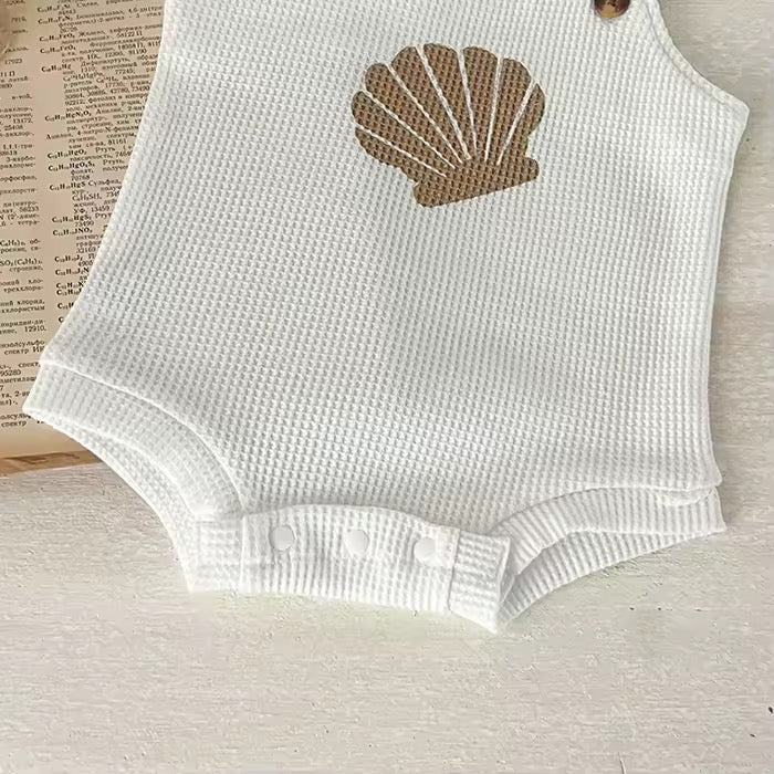 Seashell Set