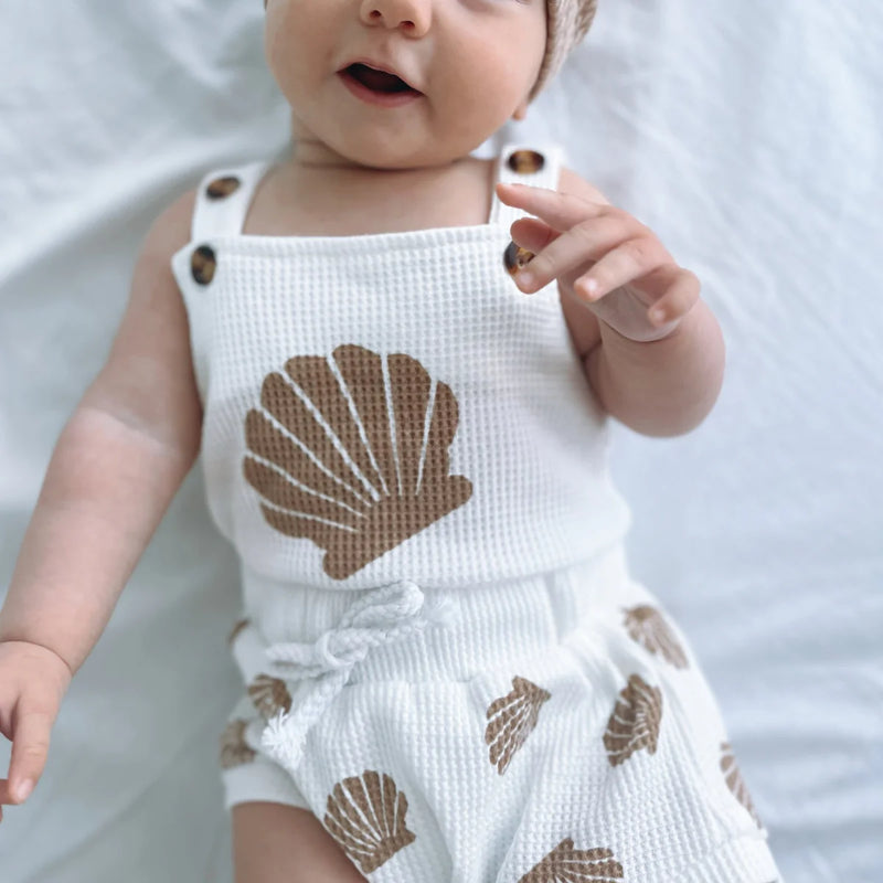 Seashell Set
